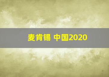 麦肯锡 中国2020